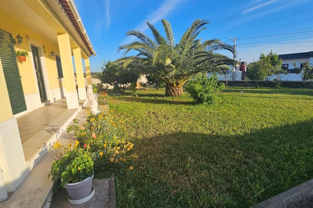 Quinta Marinhais Para Ferias No Ribatejo Buitenkant foto