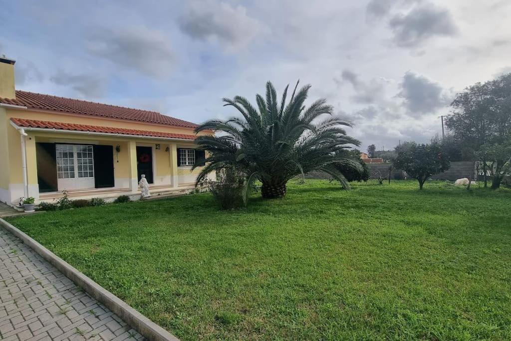 Quinta Marinhais Para Ferias No Ribatejo Buitenkant foto