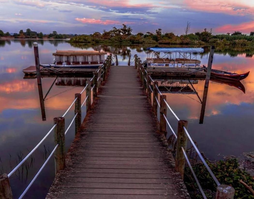 Quinta Marinhais Para Ferias No Ribatejo Buitenkant foto