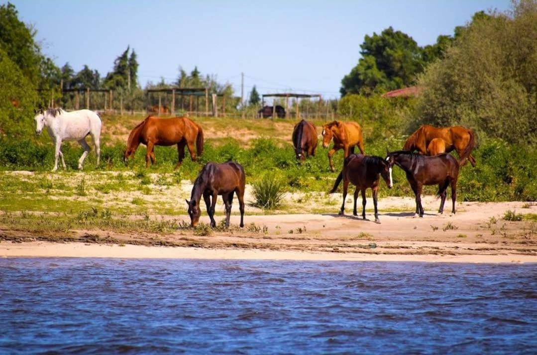 Quinta Marinhais Para Ferias No Ribatejo Buitenkant foto